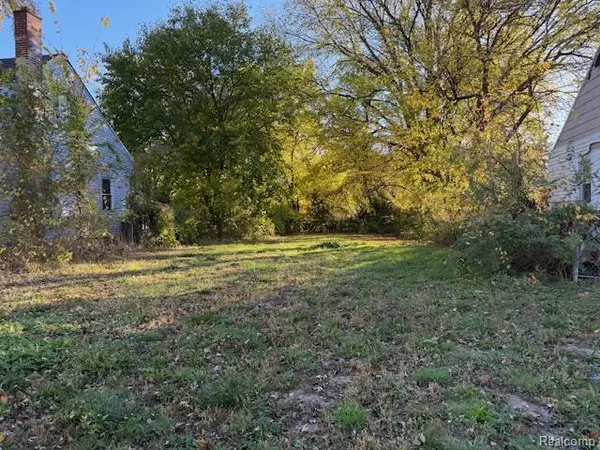 12134 Braile, Detroit, MI 