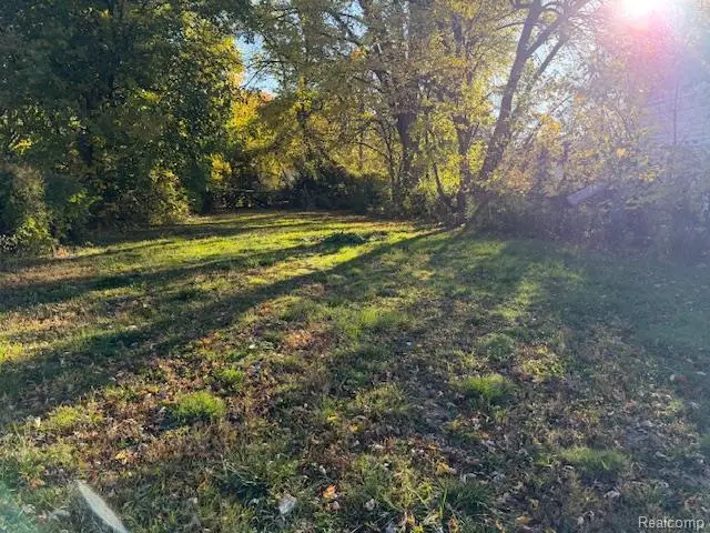 12134 Braile, Detroit, MI 48228 - #2