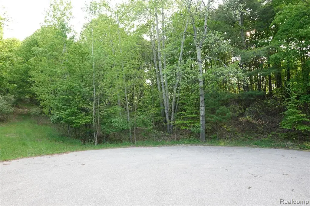 000 Buckridge, Rapid City, MI 49676 - Image #1