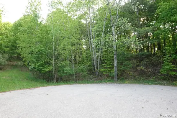 000 Buckridge, Elk Rapids, MI 49676