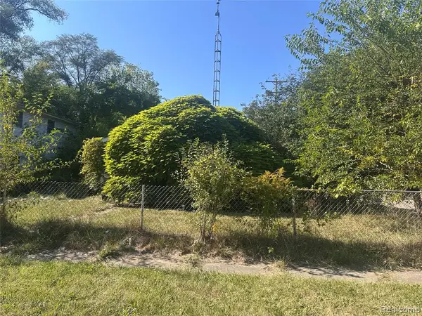 1133 Donaldson, Flint, MI 