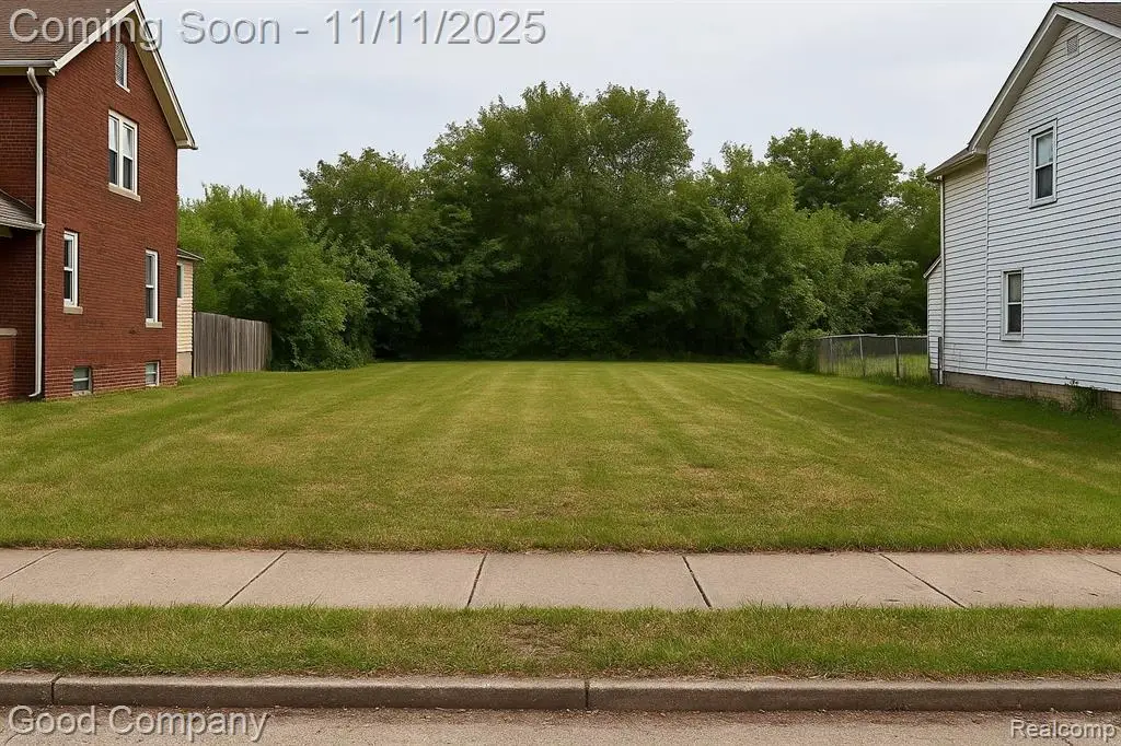 161 Waverly, Highland Park, MI 48203 - #1