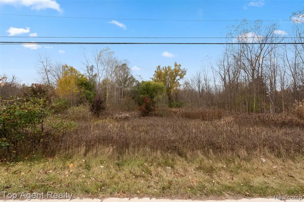 433 Rochester, Leonard, MI 48367 - #1