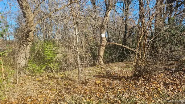 000 Hillpoint, Brighton, MI 48116