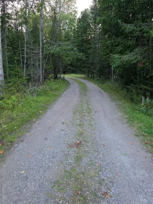 5136 Hardwood, Hubbard Lake, MI 49747