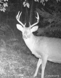 000 Veldkamp, Central Lake, MI 49622 - Image #3