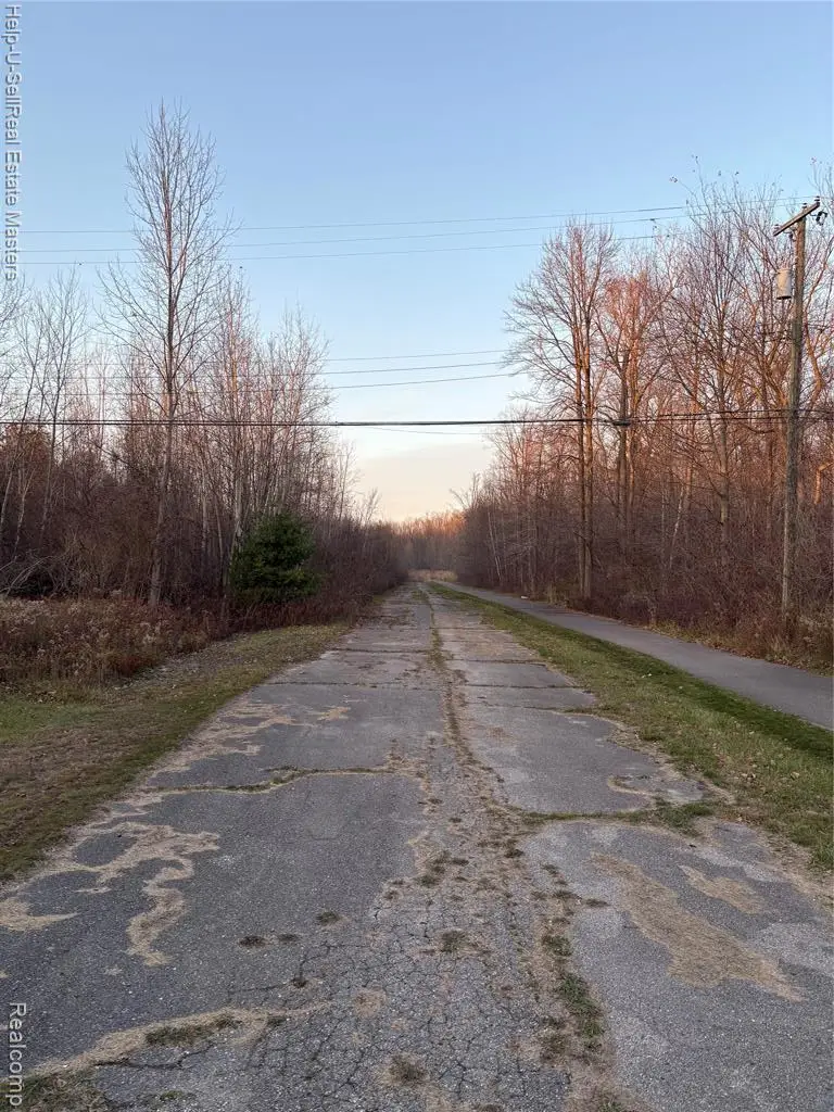TBD Metcalf, Lakeport, MI 48059 - #2