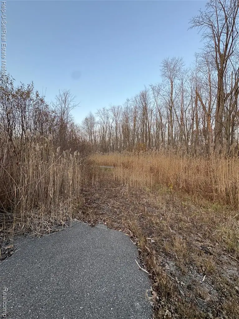 TBD Metcalf, Lakeport, MI 48059 - #3