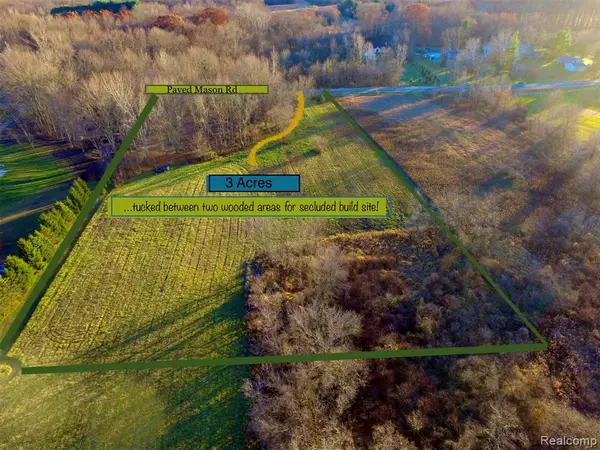 3 Mason, Webberville, MI 48892