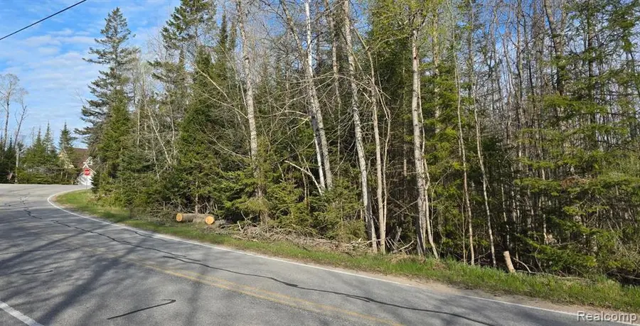 0 S White, Cedarville, MI 49719 - #2