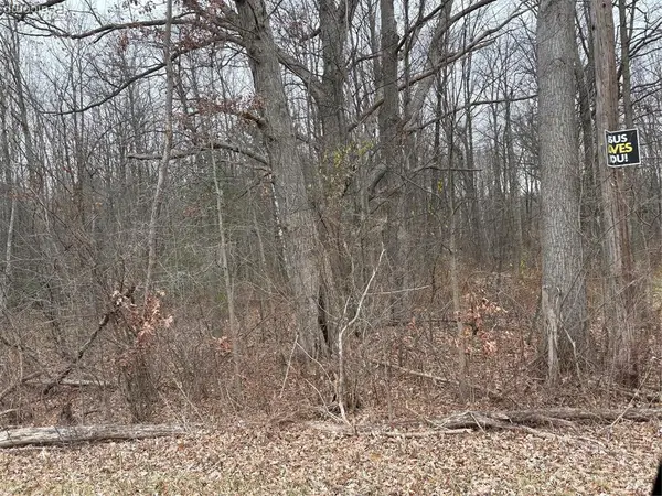 0 Lapeer, Clyde, MI 48049