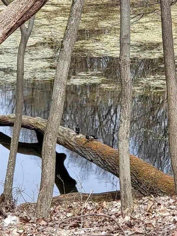 0000 Duana, Milford, MI 48380