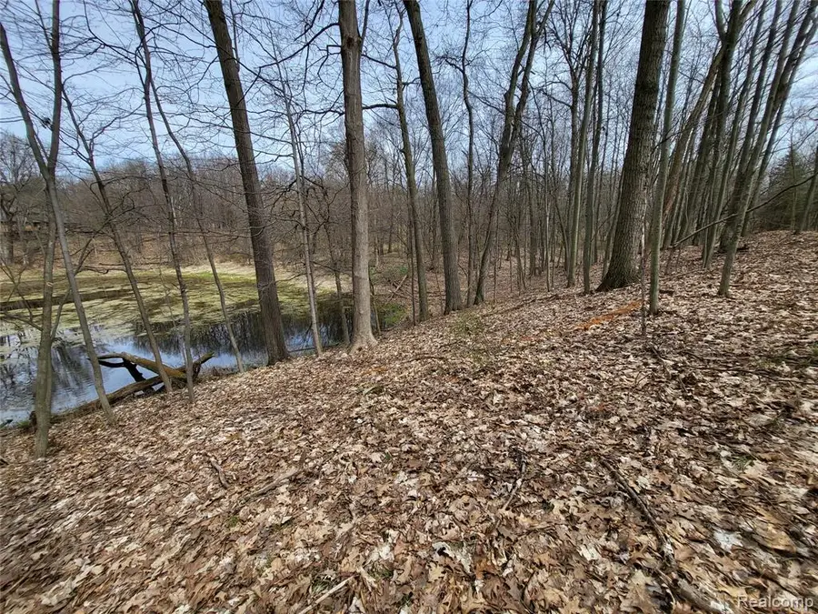 0000 Duana, Milford, MI 48380 - Image #3