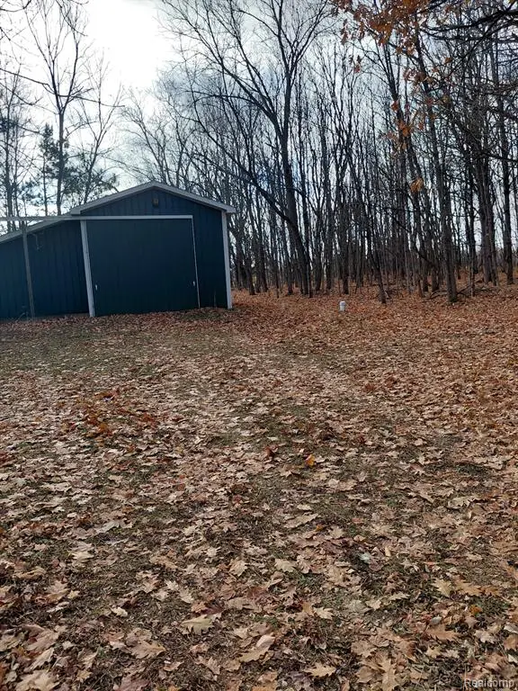 4547 Potter, Bear Lake, MI 