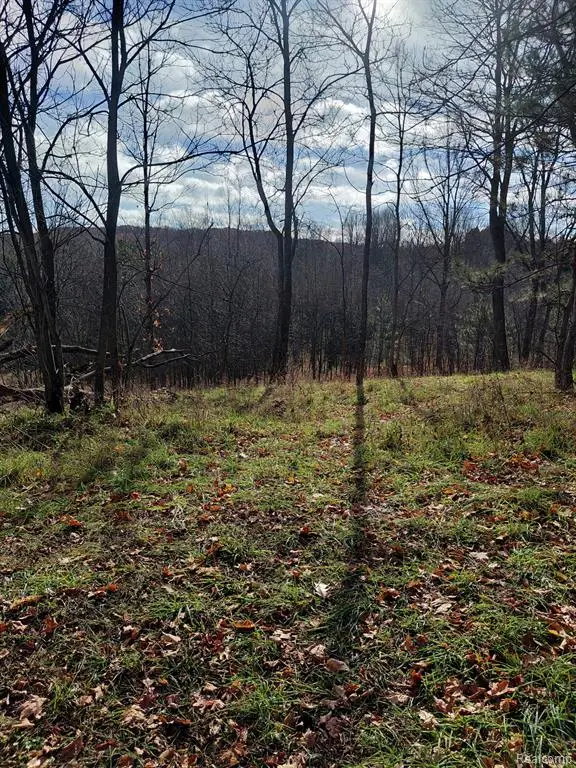 4547 Potter, Bear Lake, MI  - Image #2