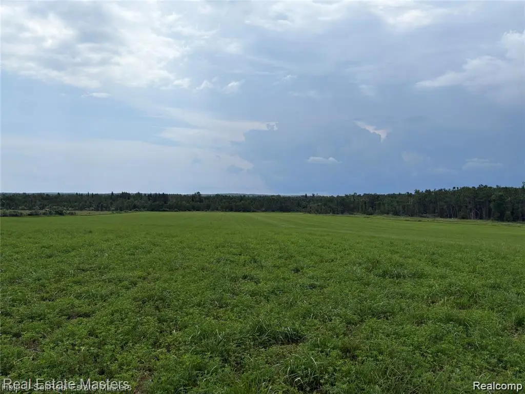 300 W Hubert, Spruce, MI 48762 - #1