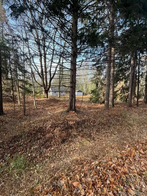 2311 Judson, Fruitport, MI 49456 - #3