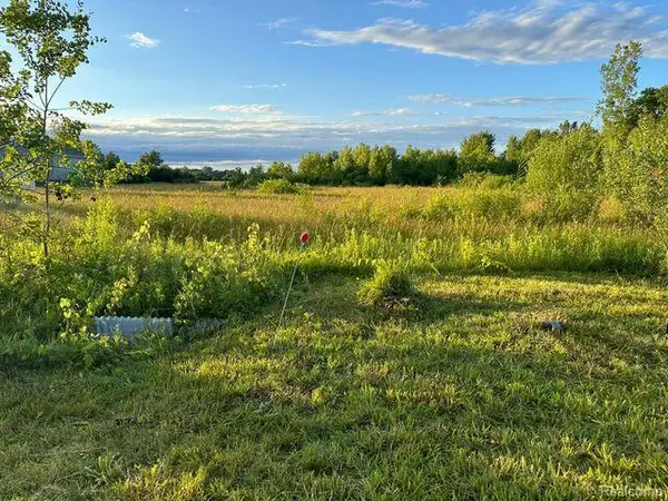 0000 Division, Columbus, MI 