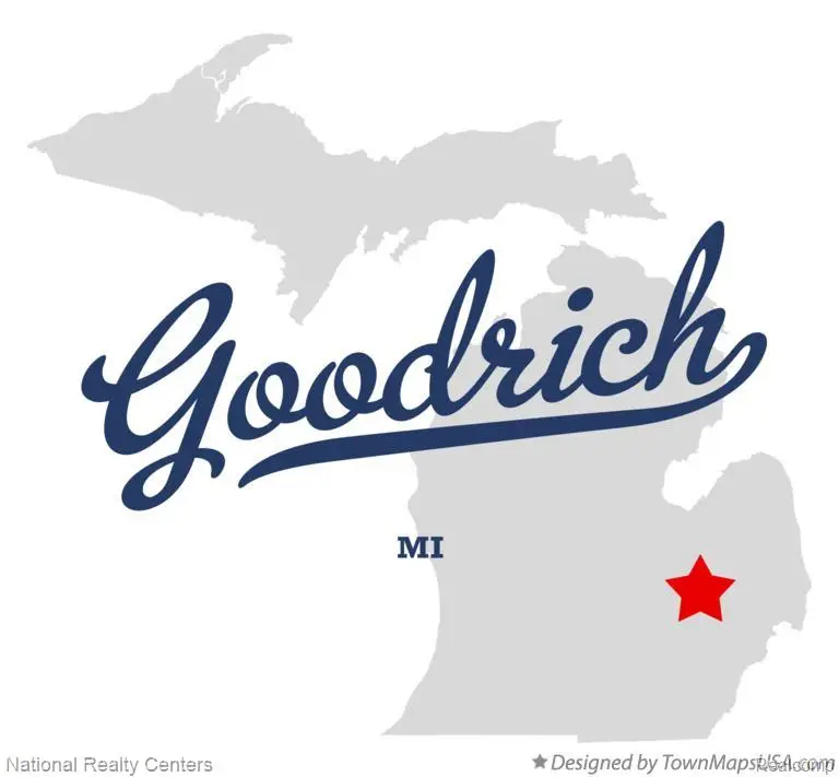 10422 Valley Creek, Goodrich, MI 48438 - #2