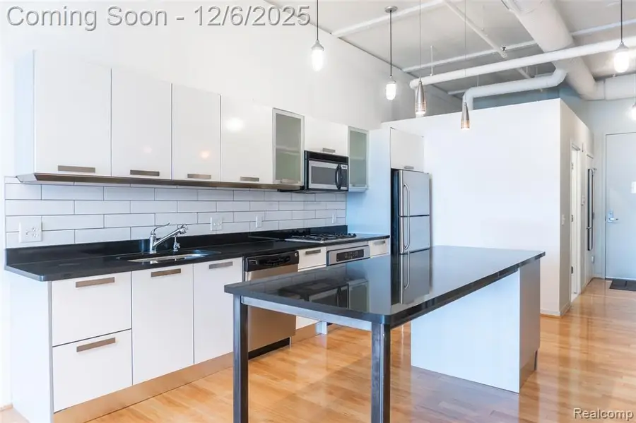 100 N Center #206, Royal Oak, MI  - Image #3