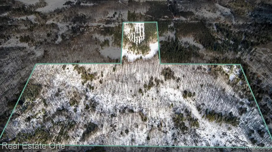 V/L 1 Mile, Leroy, MI  - Image #3