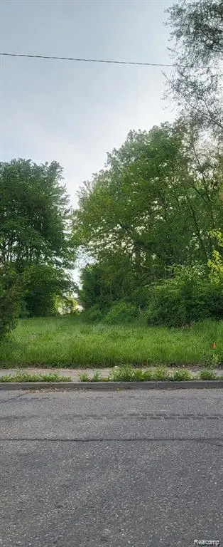 2960 Vermont, Detroit, MI 48216 - #3