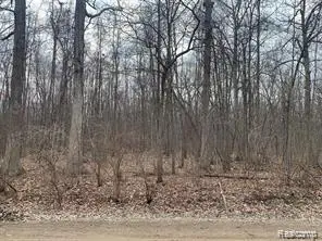 44235 Wear, Belleville, MI 48111 - #1