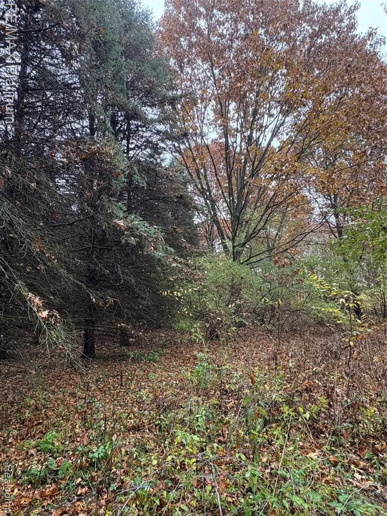 Wasson Road, Gregory, MI 48137 - Image #3