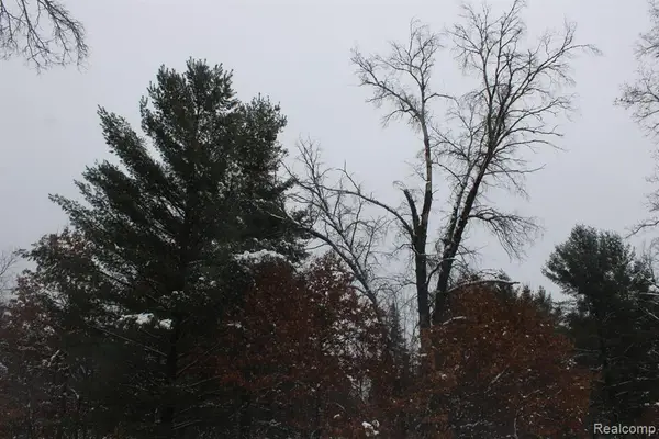 VL Good., Alger, MI 48610