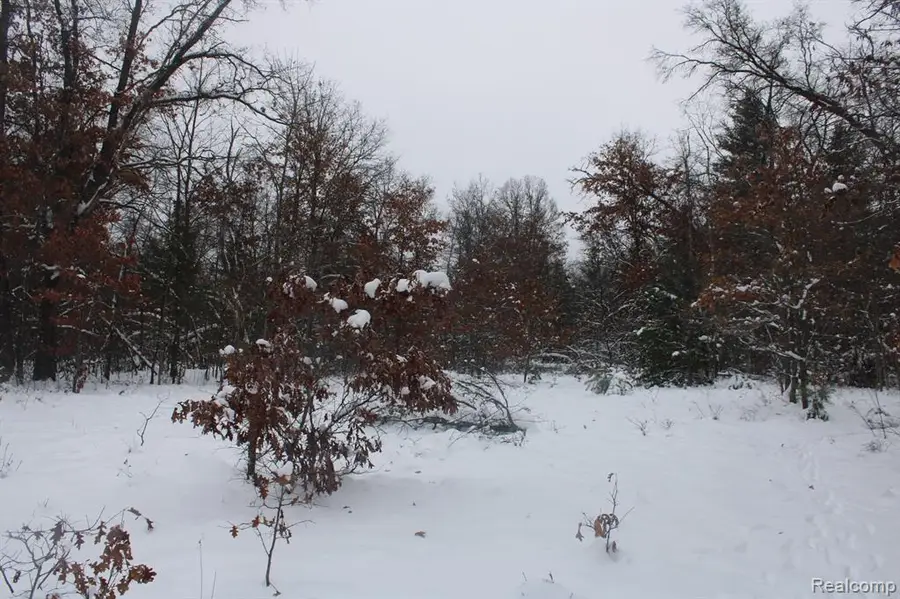 VL Good, Alger, MI 48610 - #2