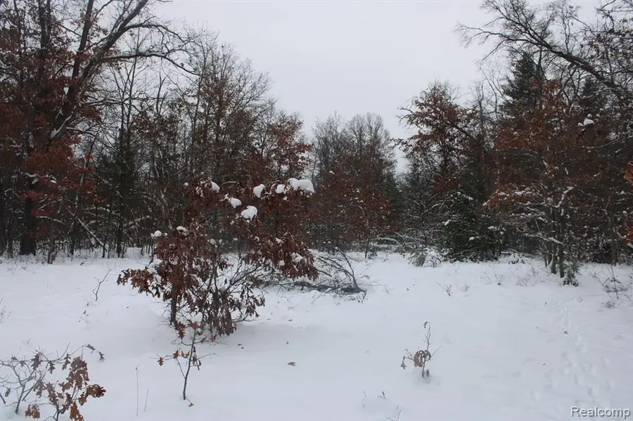 VL Good, Alger, MI 48610 - #3