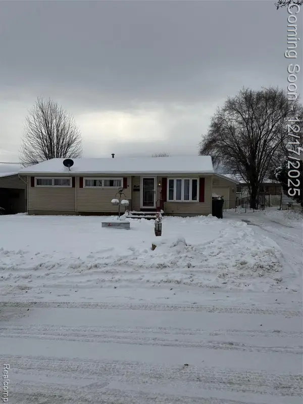 766 Louisa, Mount Morris, MI 