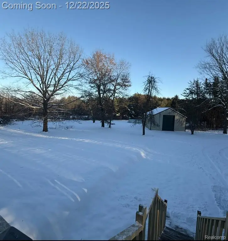 3363 N Branch, North Branch, MI  - Image #2