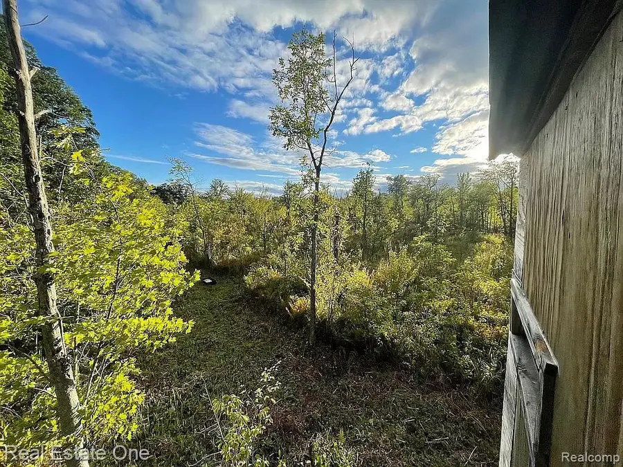 00 Burrows T Drive N, Bellevue, MI 49021 - Image #3