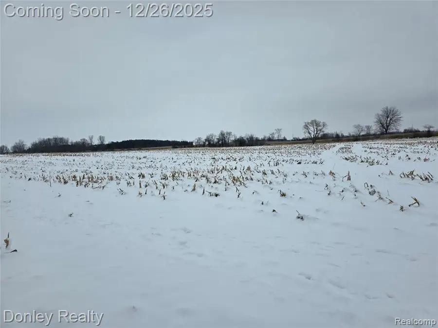 9999 Montgomery, Marlette Township, MI 48453 - Image #2