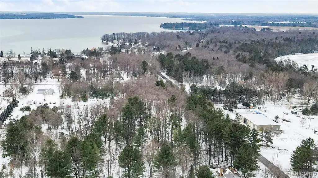 00 Birch Lake Rd., Kewadin, MI  - #1