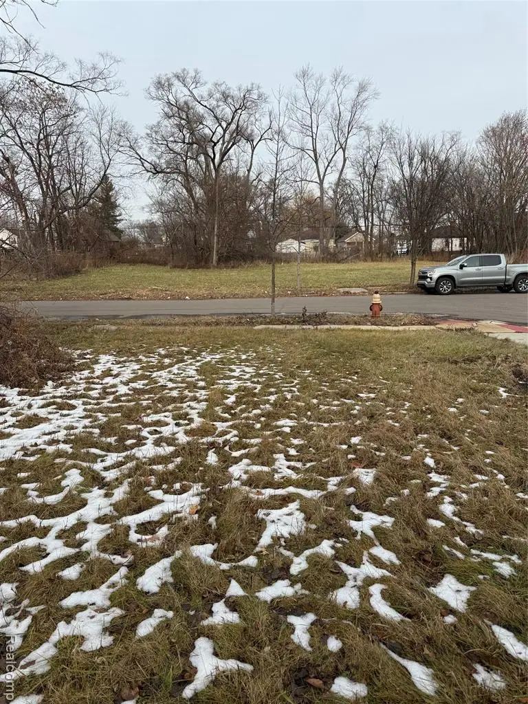 8601 Chalfonte, Detroit, MI  - Image #1