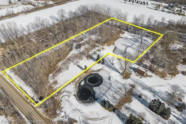 VACANT LAND Nicholson, Update, MI 