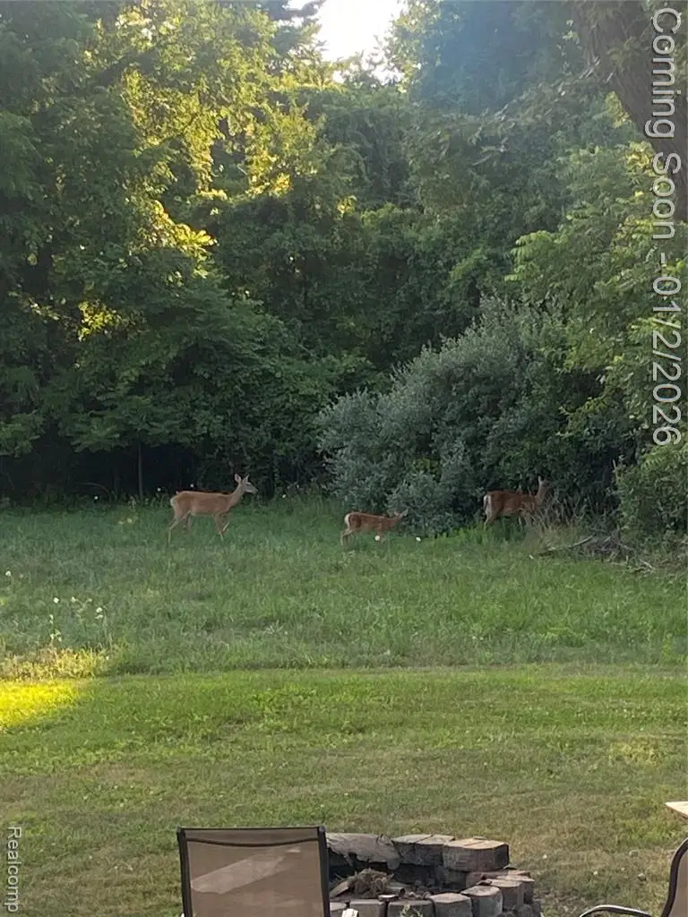 26730 Will Carleton Road, Flat Rock, MI  - Image #2