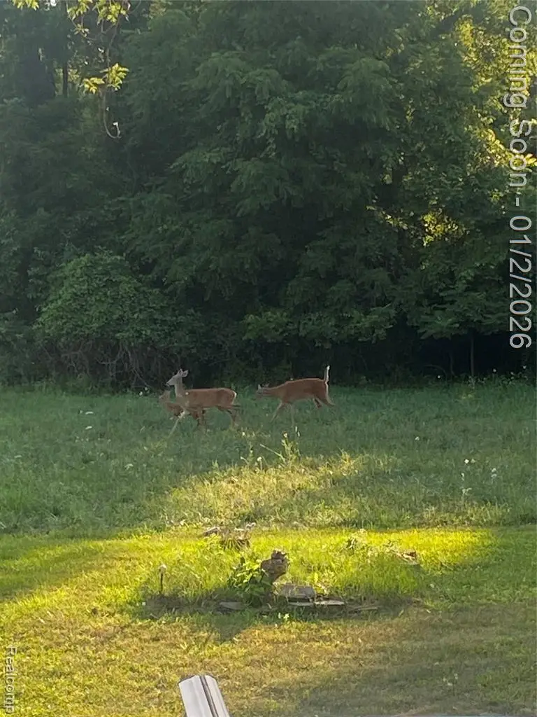 26730 Will Carleton Road, Flat Rock, MI  - Image #3