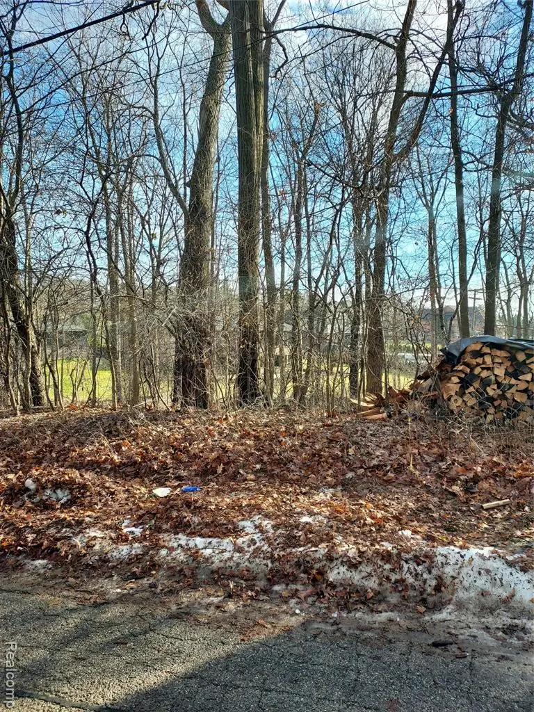 (Parcel ID: 190 Hamilton, Bloomfield, MI 48302 - Image #2