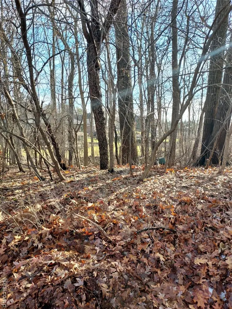 (Parcel ID: 190 Hamilton, Bloomfield, MI 48302 - Image #3