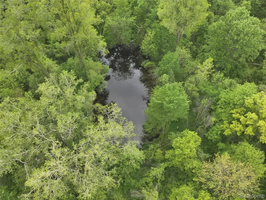 v/l Bunkerhill Rd, Pleasant Lake, MI 49272 - Image #3