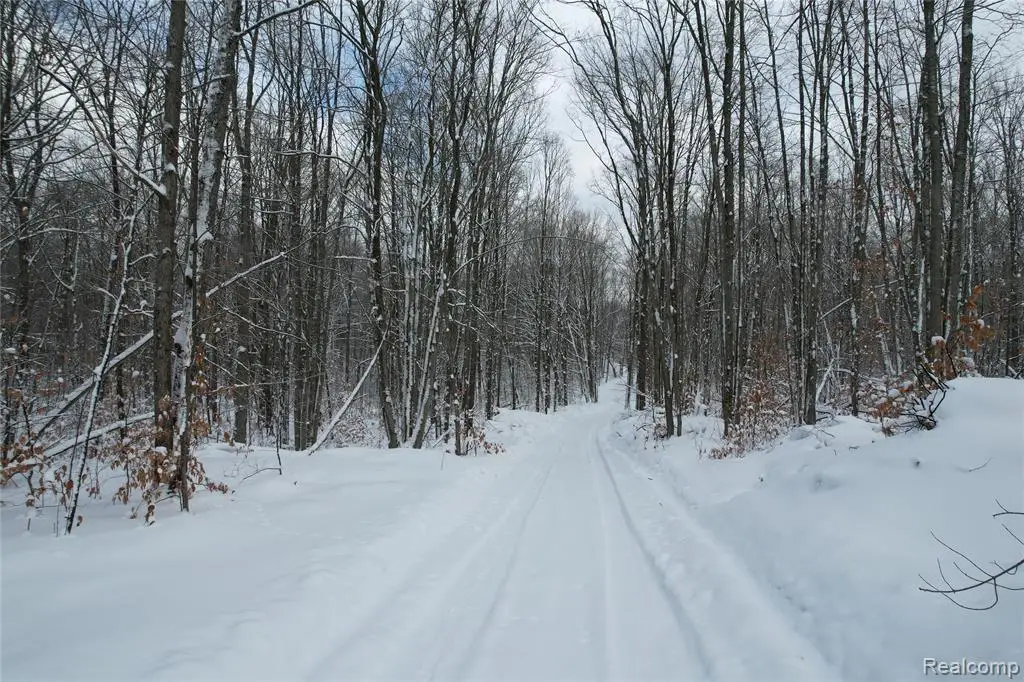 11860 E 22 3/4, Manton, MI 49663 - #1