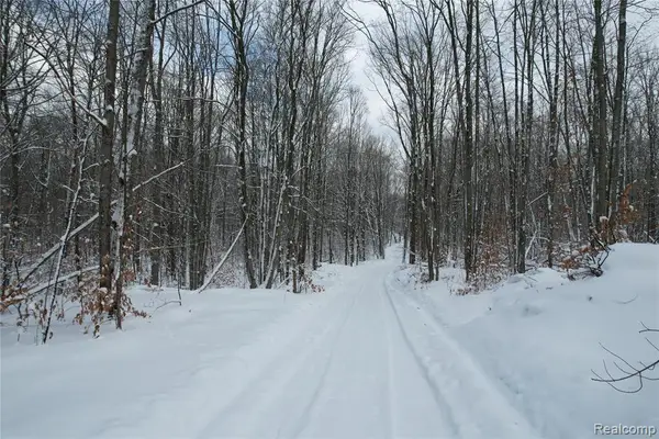 11860 E 22 3/4, Manton, MI 49663