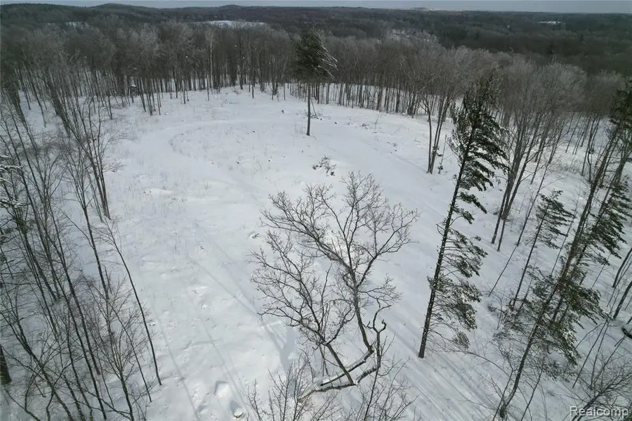 11860 E 22 3/4, Manton, MI 49663 - #2