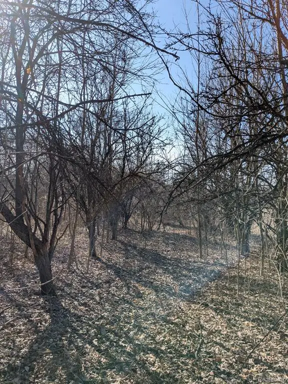 00 Oregon, Lapeer, MI 48446 - Image #3