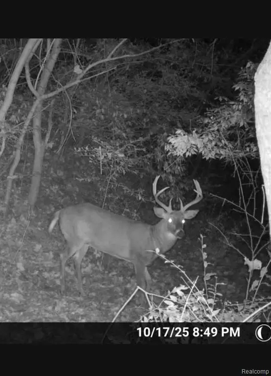 2298 N Wilmoth, Adrian, MI  - #2