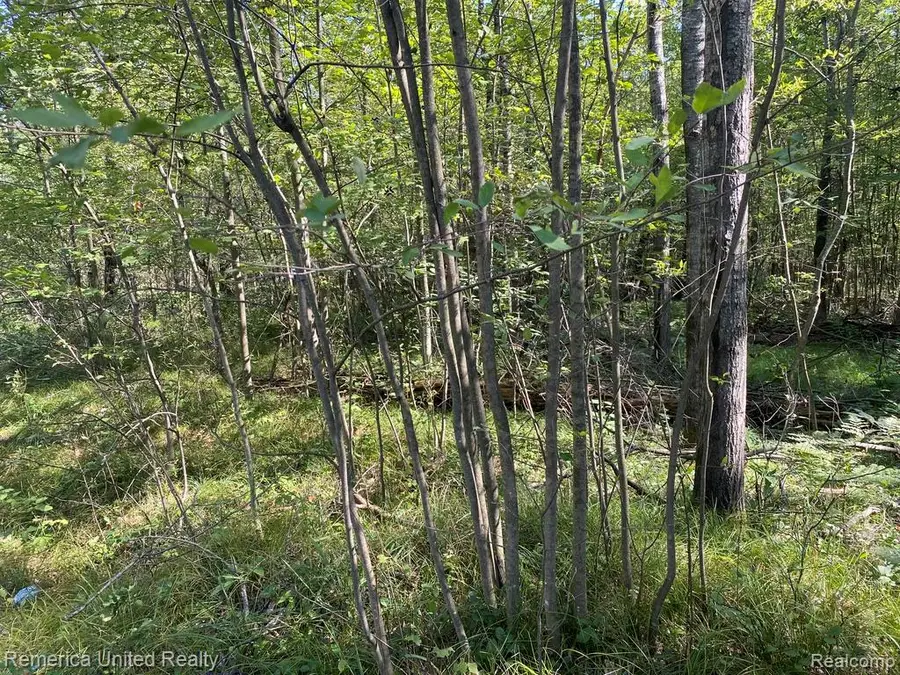 0 Timber Lane, Alger, MI 48610 - #3