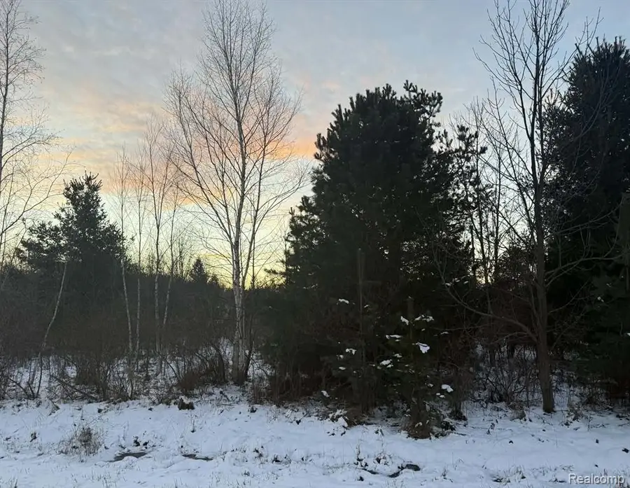 0000 Bellaire, Harbor Beach, MI 48441 - Image #3